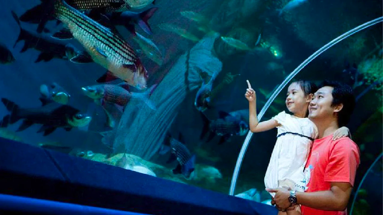 Underwater World Pattaya Tickets Location